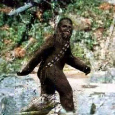 gianluc30:The real bigfoot