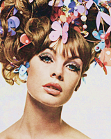 trianglemix:  60s Models(Twiggy, Jean Shrimpton, Colleen Corby, Lauren Hutton, Penelope