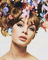 trianglemix:  60s Models(Twiggy, Jean Shrimpton, porn pictures