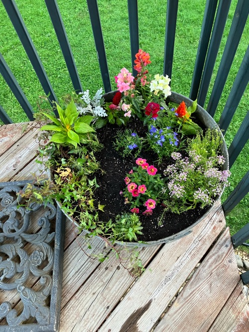 Tis The Season For Fairy Gardens!