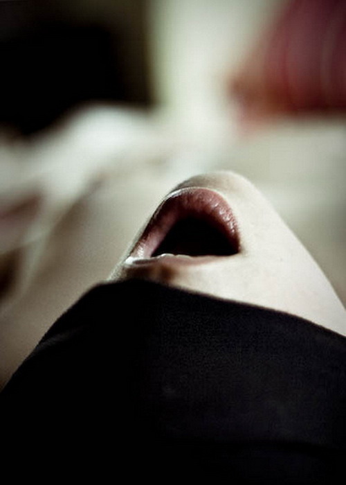lamogliebendata:  all in the dark