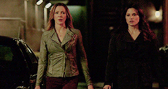 aprilkepners-archive:top twenty flarrow ships: as voted by my followers nineteen: laurel and nyssa