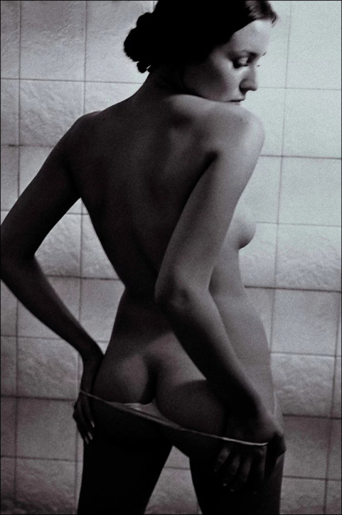 almavio: Rocco Zaraoui ©