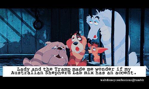 waltdisneyconfessions:    “Lady and the Tramp made me wonder if my Australian