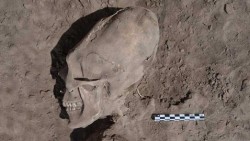 pineapplecherrytree: sixpenceee:  Archaeologists in Mexico have uncovered 25 “alien” looking human skulls. The bones are about 1,000 years old, dating from 945 A.D. to 1308 A.D. Scientists believe it was a cultural practice to put beams of wood