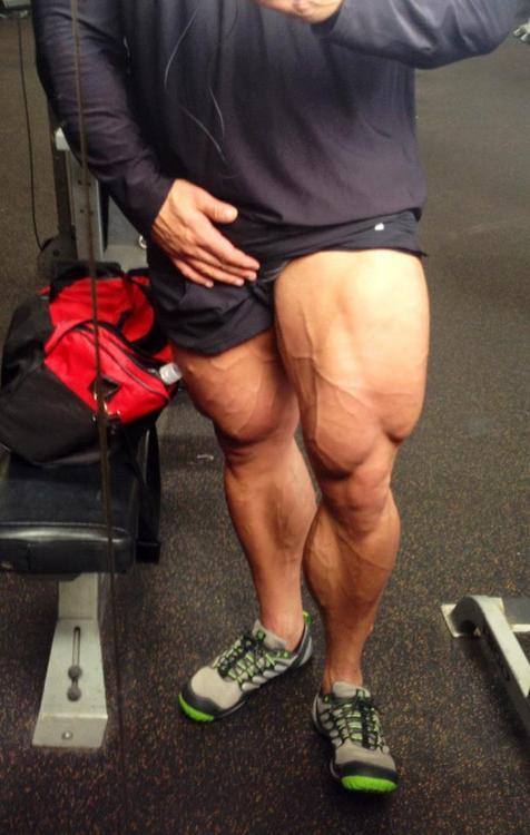 Musclelegs
