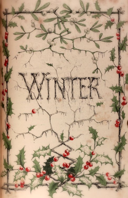 michaelmoonsbookshop:Winter19th century colour printed illustrationHolly berries, snow dusted leaves