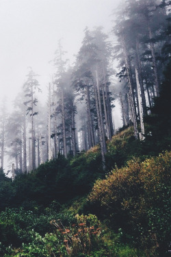 decepticun:  untitled by (jessicakeating)