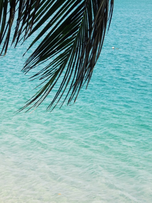 http://castawaylabel.tumblr.com/post/117231806453