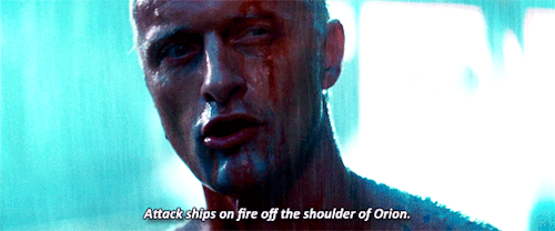 jack-the-reapper:kane52630:Quite an experience to live in fear, isn’t it?Blade Runner (1982) | dir. 