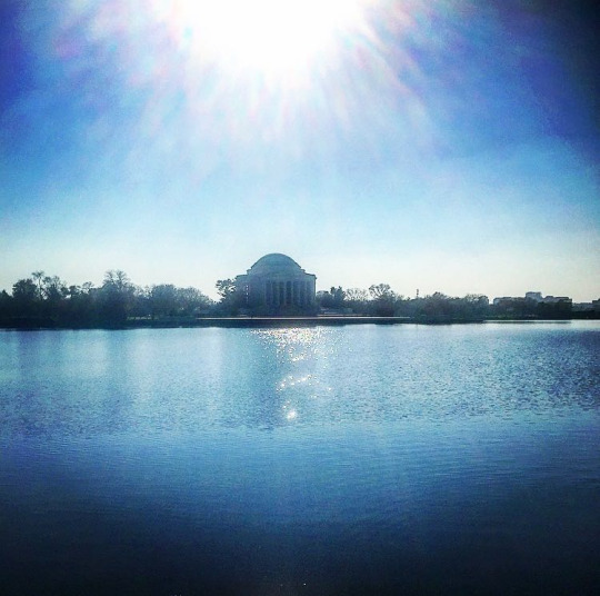 georgewashingwoes: georgewashingwoes:  Sooo I’m down in DC for the weekend with