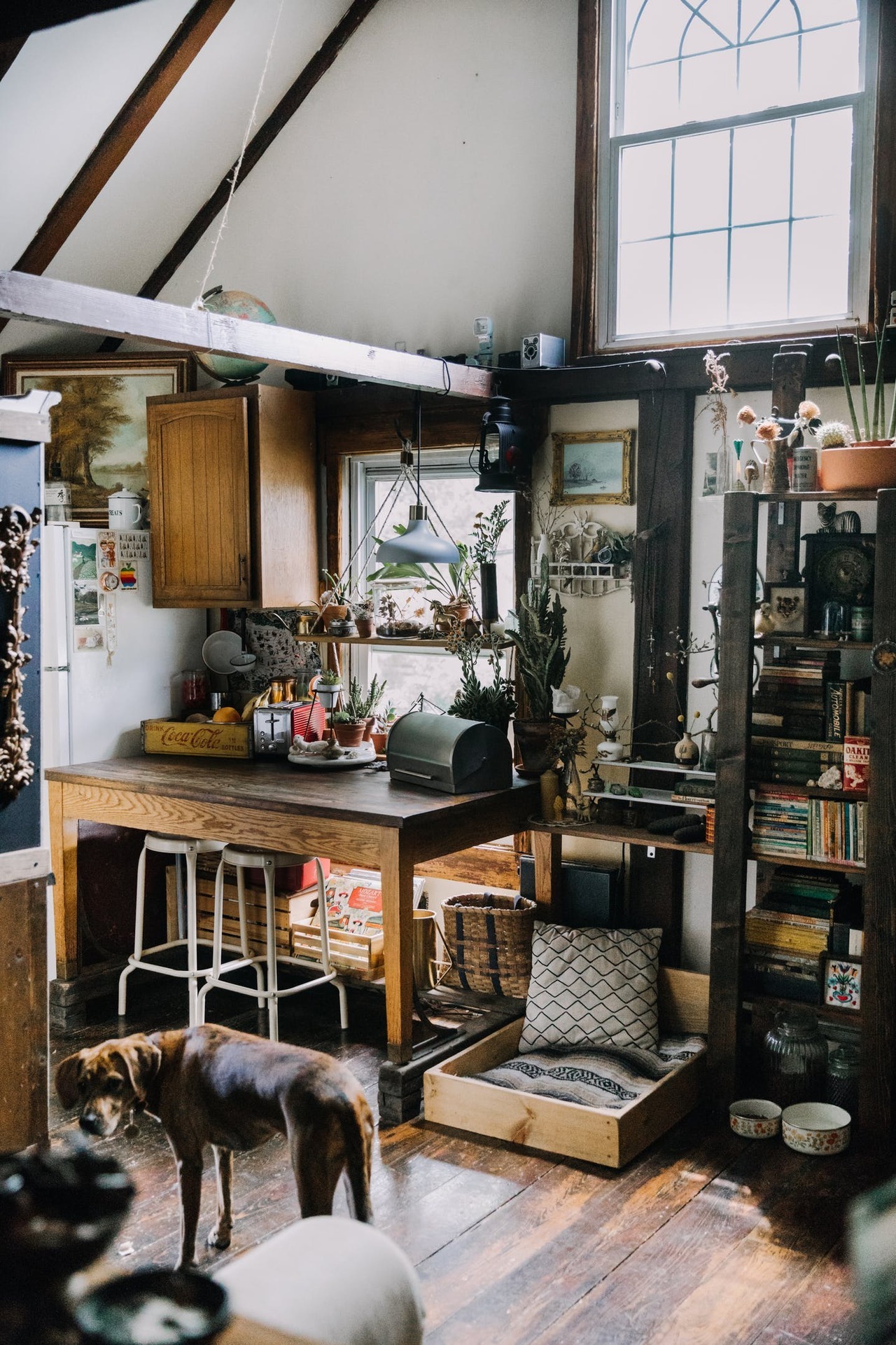 gravityhome:  Cluttered tiny home in Pennsylvania | photos by Carina Romano  Follow