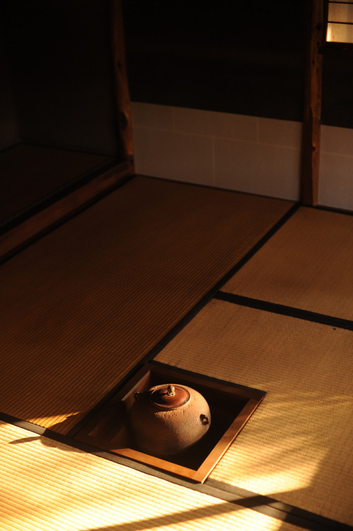 vnformed:  DSC_5693 (by shok) 