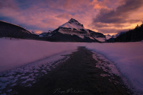 te5seract:Kissed by light &amp; Canadian pancakes by Nagesh Mahadev