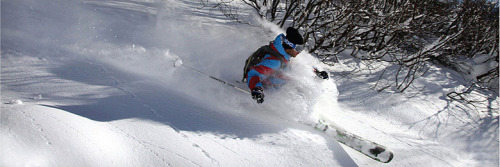 powder skiing