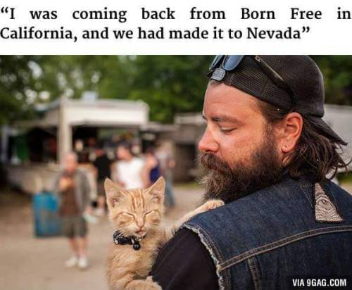 petermorwood:  daemonysh:  This is too much adorableness <3<3<3  I’ll reblog this every time I see it, because there’s something about burly beardy bikers giving help and companionship to a small hurt kitten that makes the world a little