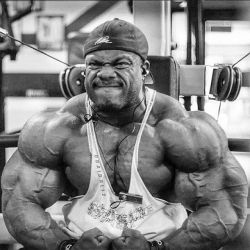 drwannabe:  Phil Heath