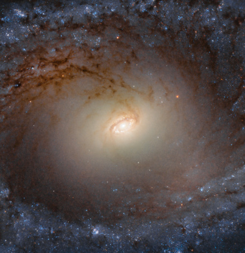 Hubble’s Close-Up of Spiral’s Disk, Bulge
