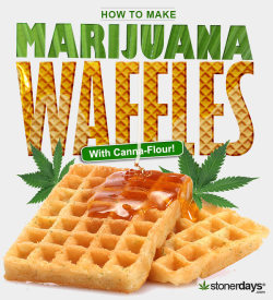 k1ngdom-cum:   How to make waffles with cannabis.