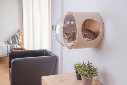 No One Will Know This Is a Space-Age Napping Pod for Your CatMake your house cat-friendly with Space