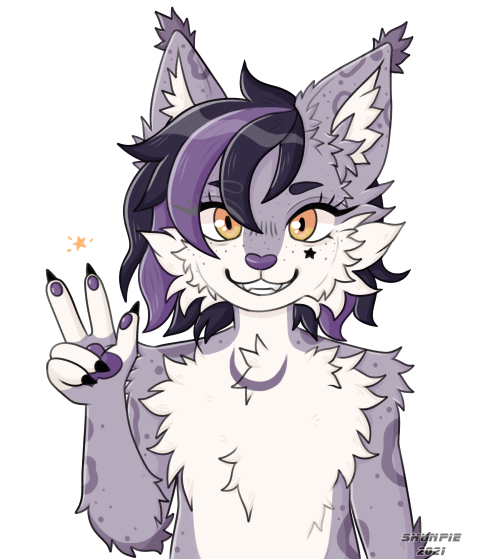 Commission ForFulltimeFeline Over On Twitter!