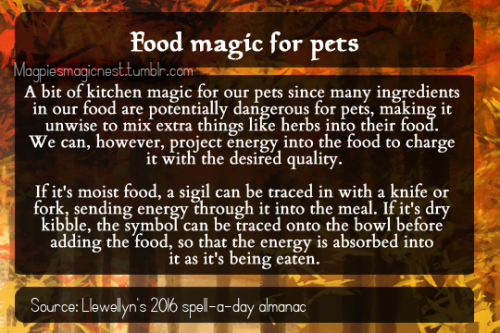 Food magic for petsFull spell rewritten under cut for accessibilityA bit of kitchen magic for our pe