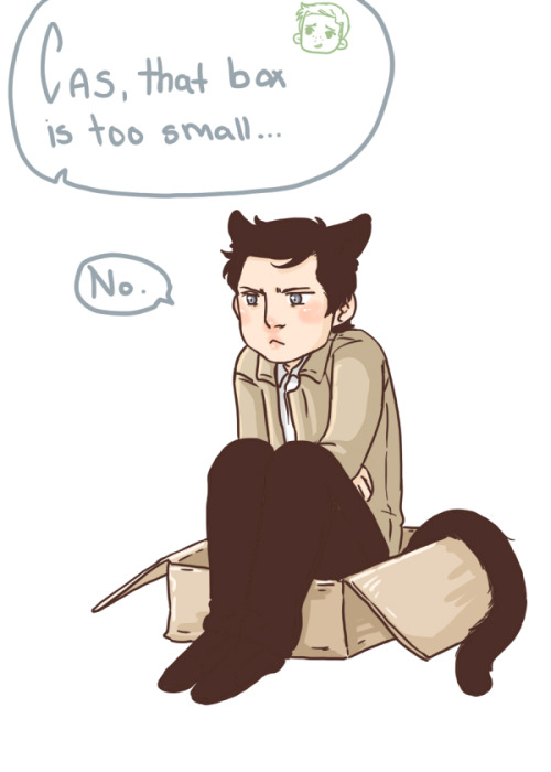 diminuel:  “I’m over 300 meter tall and I managed to squeeze into this human shell. So don’t tell me I don’t fit into boxes, Dean!” —  carrionofmywaywardson said: catboy!cas enjoying his glass of warm milk :3 or tea. or trying to sleep