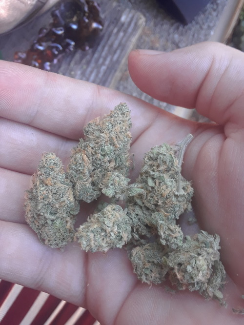 All my sacks pt ½ #weed #blunts #joints #bongs4life #Kush #Purp #marijuana