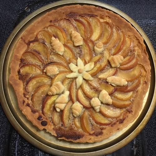 First and second attempt at tarts The peach and frangipane tart (bottom left) won second place at my