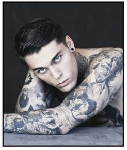 Stephen James