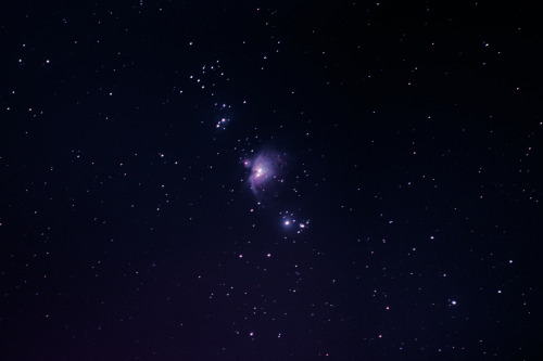 Great Orion Nebula from my backyard with my DSLR [3801x2532][OC]
