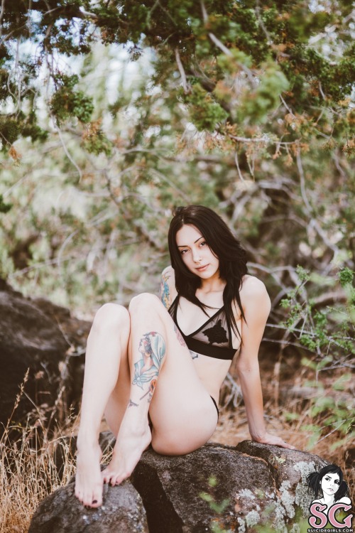 XXX suicideburningangels:  Feryn – RavenFull photo