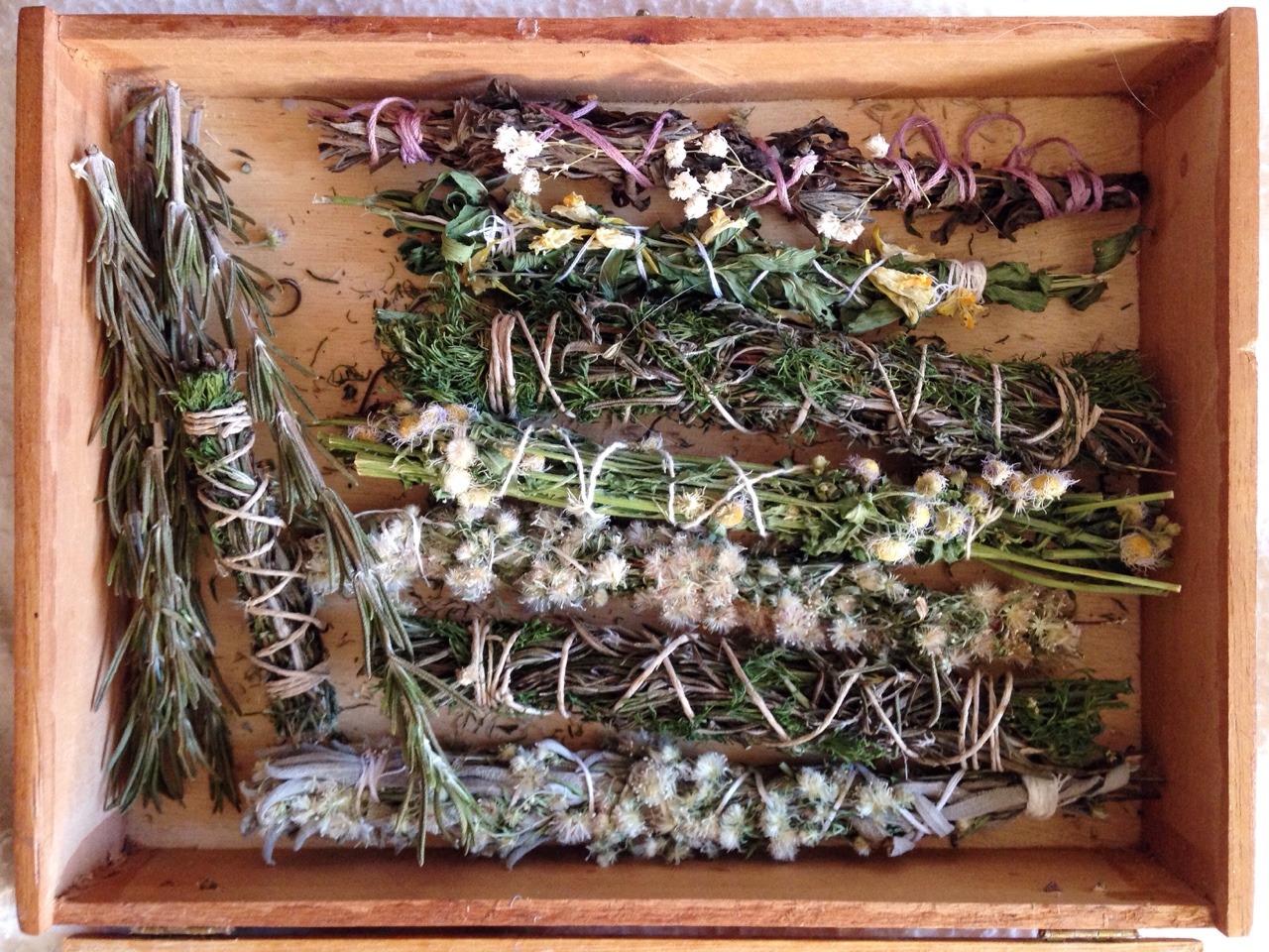 floralwaterwitch:Some of the herbal bundles I’ve crafted, I’ve been saving a