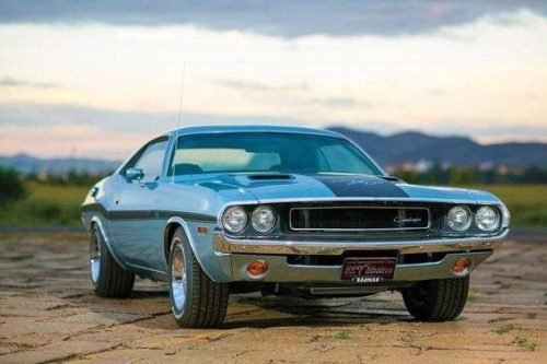 bigboppa01:  1970 Hemi Challenger