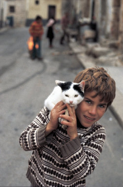 fotojournalismus:Sicily, 1975.Photographs