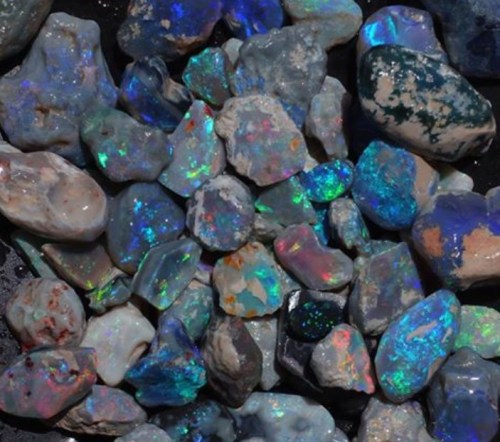 deformutilated:Black opal