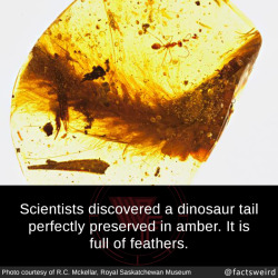 mindblowingfactz:  Scientists discovered