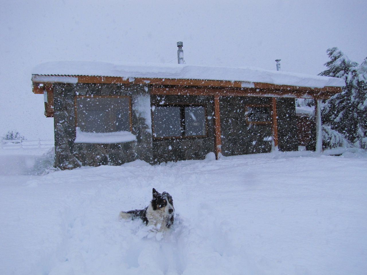 NEVADAS. Imágenes de Villa Meliquina en la provincia de Neuquén, donde se registraron fuertes nevadas en las últimas 48 horas alcanzando los 70 centímetros.Muchos parajes y pueblos quedaron aislados, con suministro eléctrico restringido, rutas...