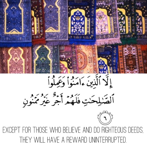 bosnianmuslima: My edit surah At tin (the fig) Plz do not remove/rearrange the photos or crop my na