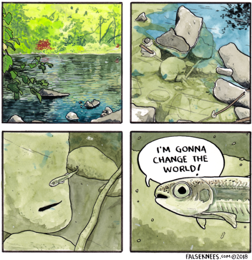 falseknees:The world’s has no idea what’s coming for itim&hellip;this fish!