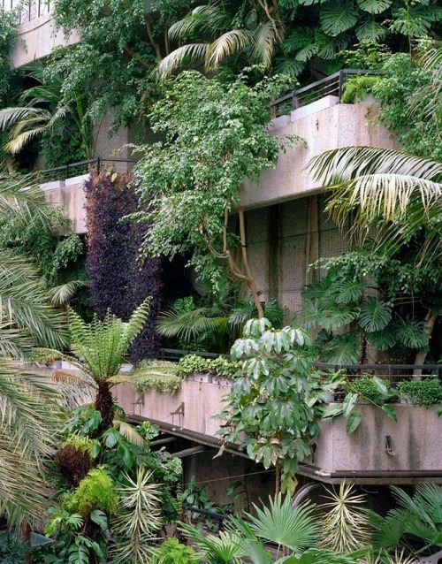 frommoon2moon:  The Barbican London