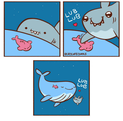 catscafecomics:LUB SHARK