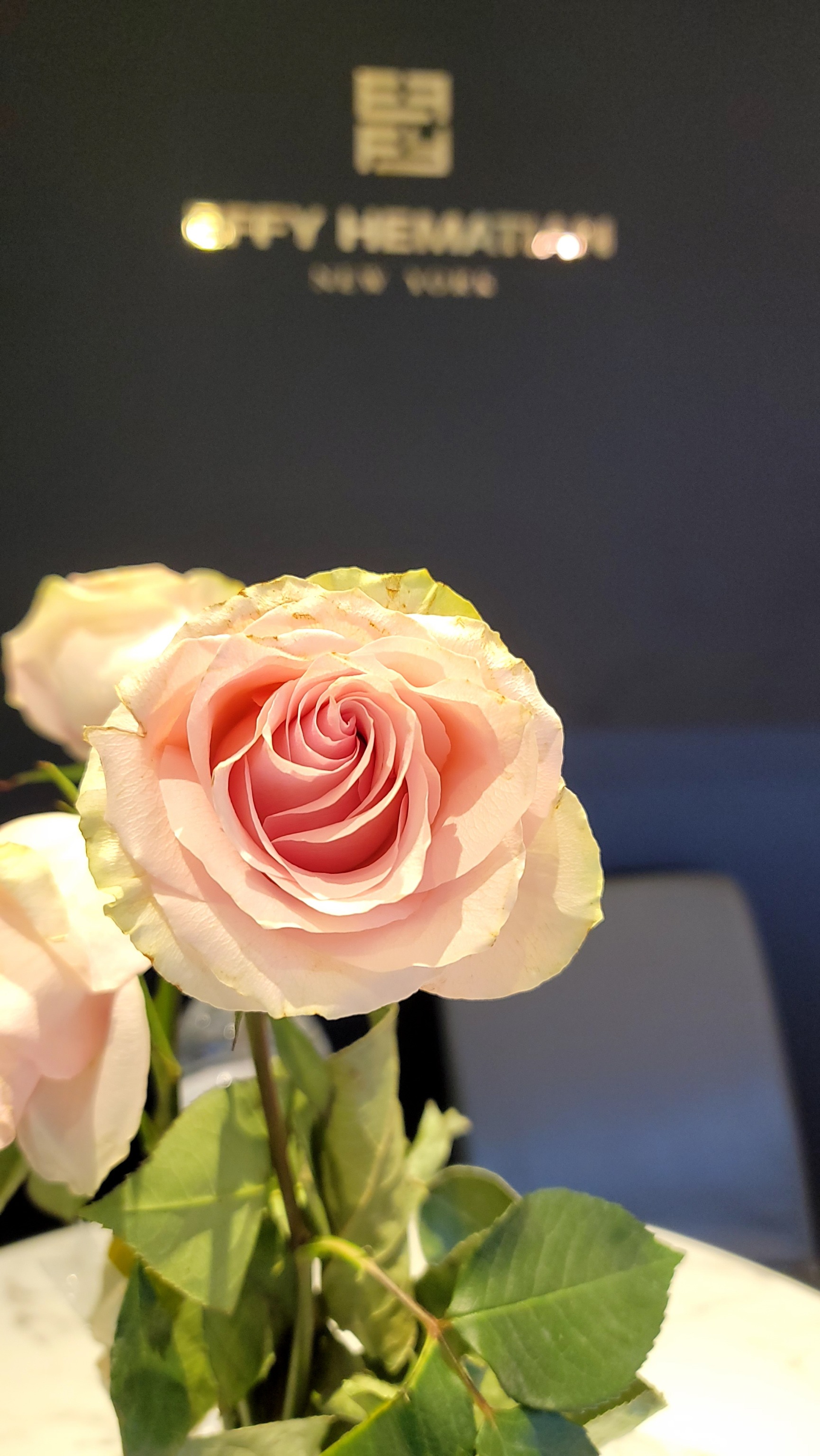 The Lunar Flower Of Perversion Nice To Meet You On Tumblr the-lunar-flower-of-perversion-nice-to-meet-you-on-tumblr