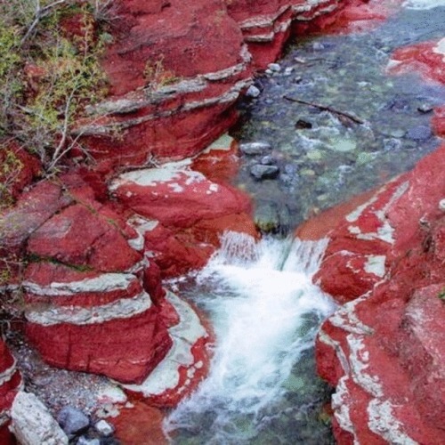 beautiful-life-wisdom:  Enjoy more nature shots