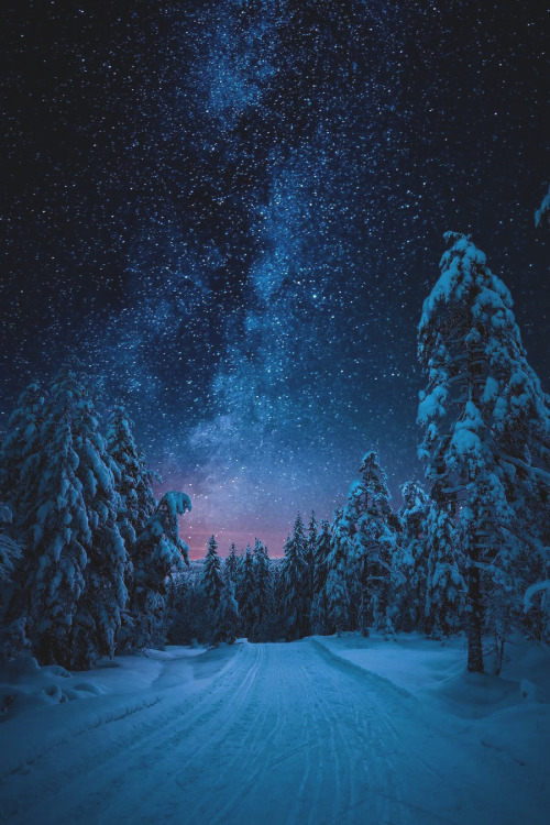 lsleofskye: ready for winter? | itseriksenLocation: Heistadmoen, Buskerud County, Norway