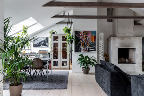 gravityhome:Cozy attic apartmentFollow Gravity Home: Blog - Instagram - Pinterest - Facebook - Shop