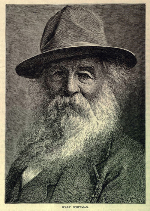 Gustav Kruell (1843-1907), ‘Walt Whitman’, “Scribner’s Monthly”, #1, N