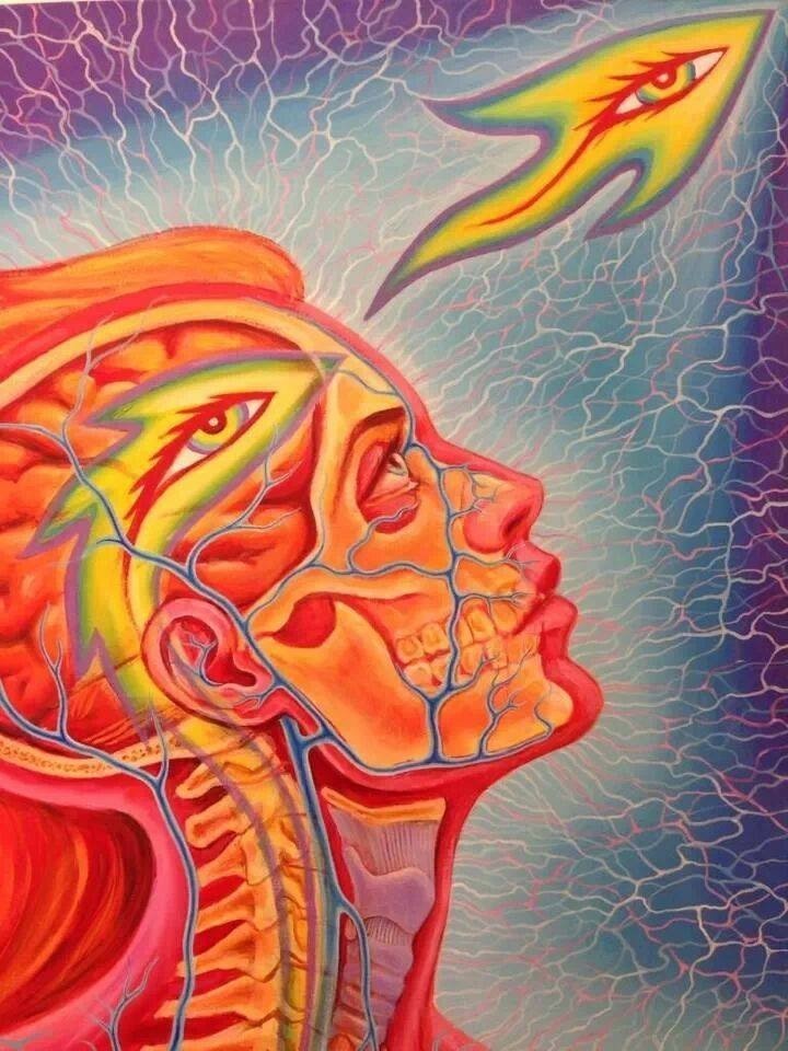 Alex Grey