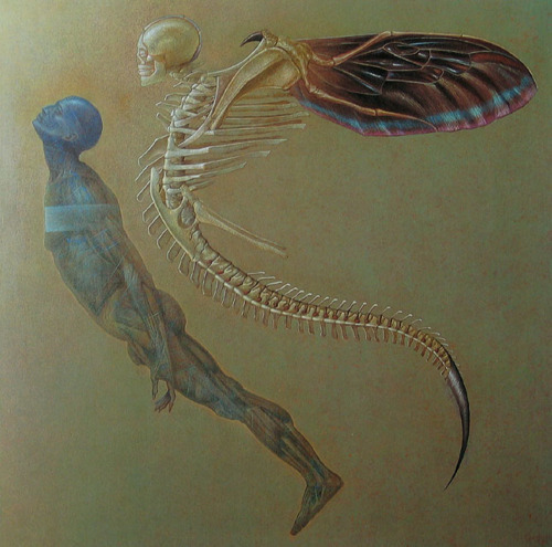 Michel Henricot. 