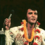 elvispresleyslover